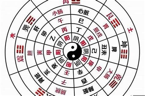 八字全陽機率|八字全阳的人为何特殊？这样的人命运好不好？